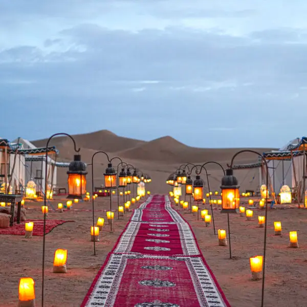 A ground-level view from inside the Main Camp at Desert Luxury Camp's Erg Chigaga site in Morocco. It's dusk, so the sky is darkening. The towering dunes in the middle distance are also a darker shade of gold. In the foreground, a line of red patterned rugs stretches toward the dunes, but stops short. On either side of this rug pathway are large luxury tents. They are white in colour, with dark stripes and edging. Many lanterns, some suspended on poles lining the rug pathway, others placed on the sand, glow with golden light, creating a comfortable, cosy atmosphere.