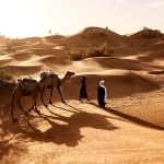 Two people in traditional Berber clothing lead two camels through the Sahara Desert at Lihudi in Morocco. Desert plants grow out of the sand here and there. The small dune formations behind the people and camels roll in waves, the low light creating long shadows.
